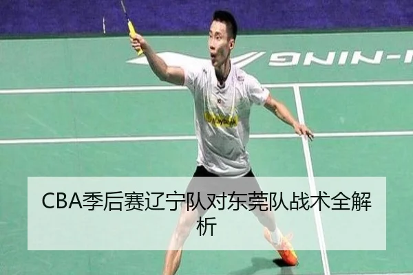 CBA季后赛辽宁队对东莞队战术全解析