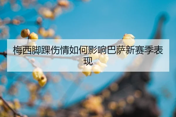 mei-xi-jiao-huai-shang-qing-ru-he-ying-xiang-ba-sa-xin-sai-ji-biao-xian-2-655.jpg